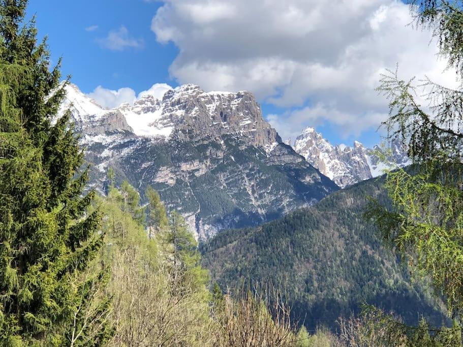 Appartamento Giada Pozzale Di Pieve Di Cadore Exterior foto